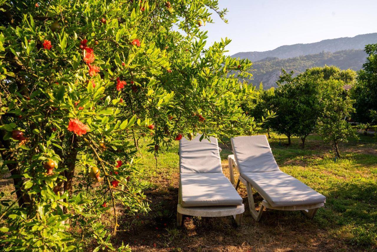 Ikiz Villas Çıralı Exterior foto