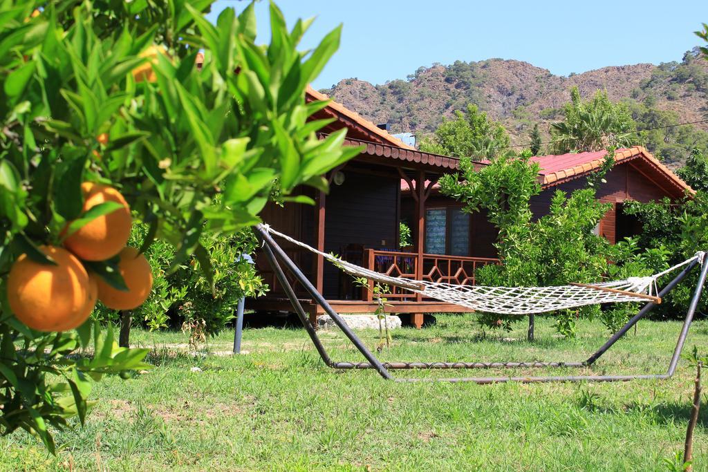 Ikiz Villas Çıralı Exterior foto