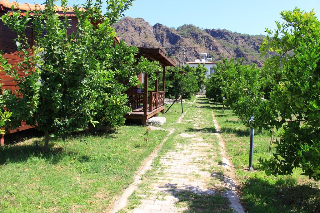 Ikiz Villas Çıralı Exterior foto
