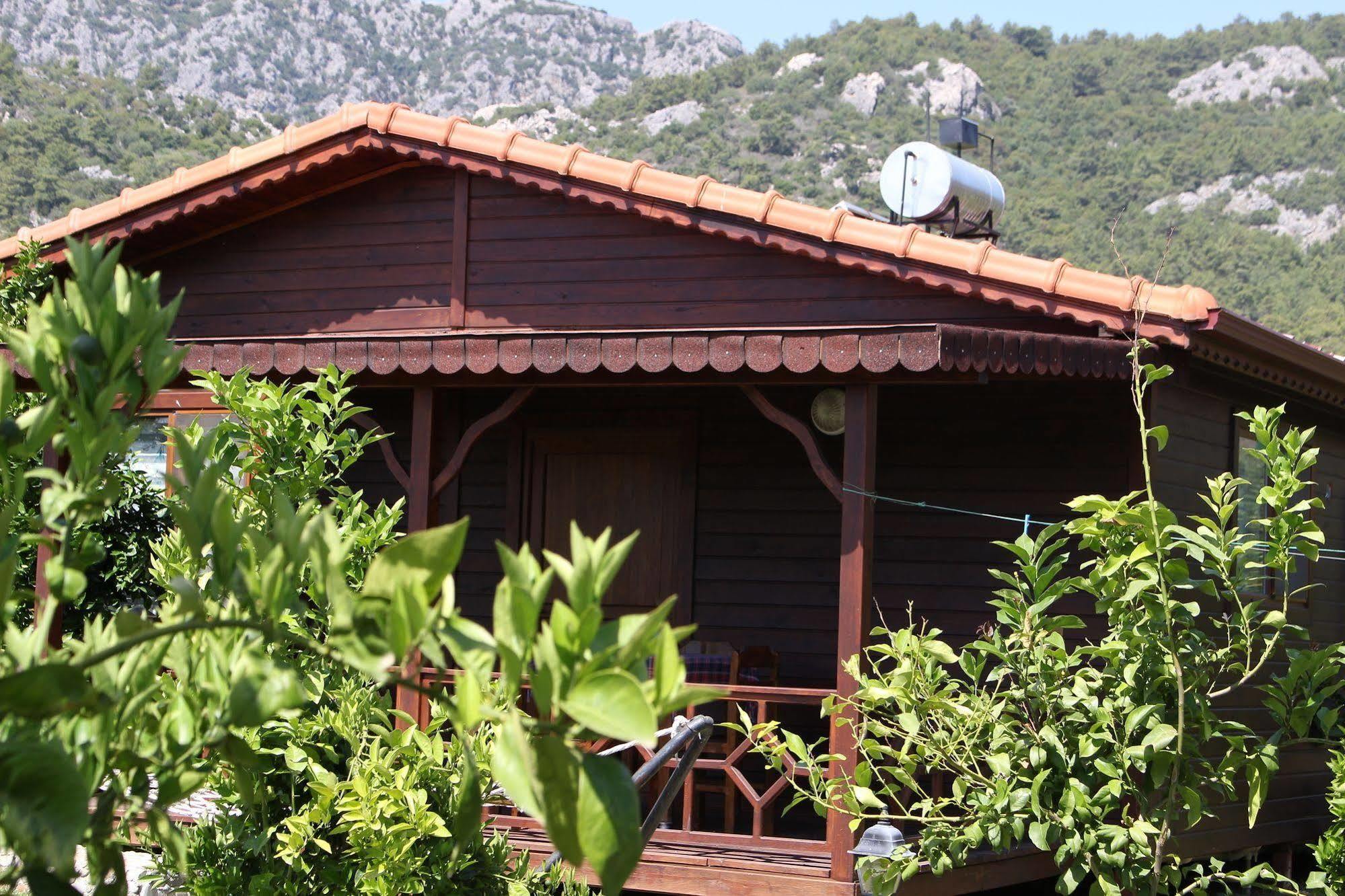 Ikiz Villas Çıralı Exterior foto