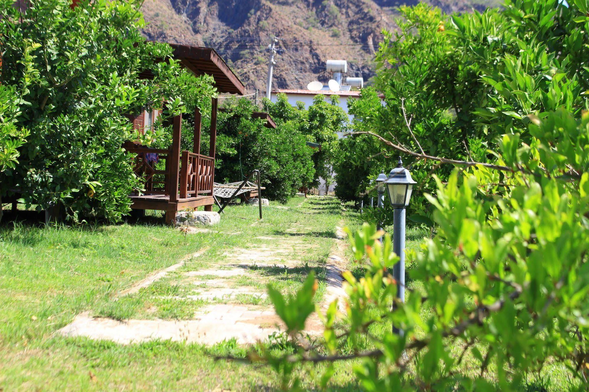 Ikiz Villas Çıralı Exterior foto